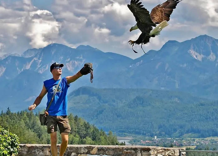 Robinson 4* Landskron